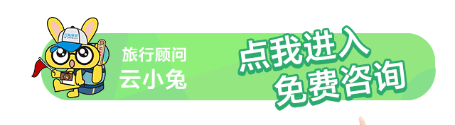 云兔咨询 云兔咨询