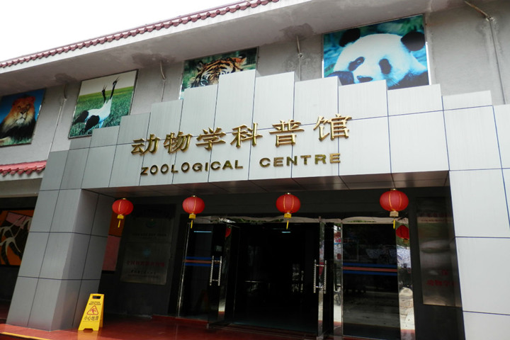深圳野生动物园 深圳野生动物园