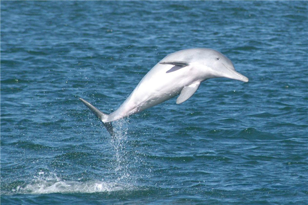 珠澳海湾游 珠澳海湾游