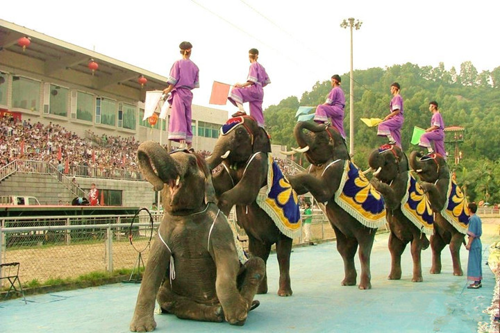 深圳野生动物园 深圳野生动物园