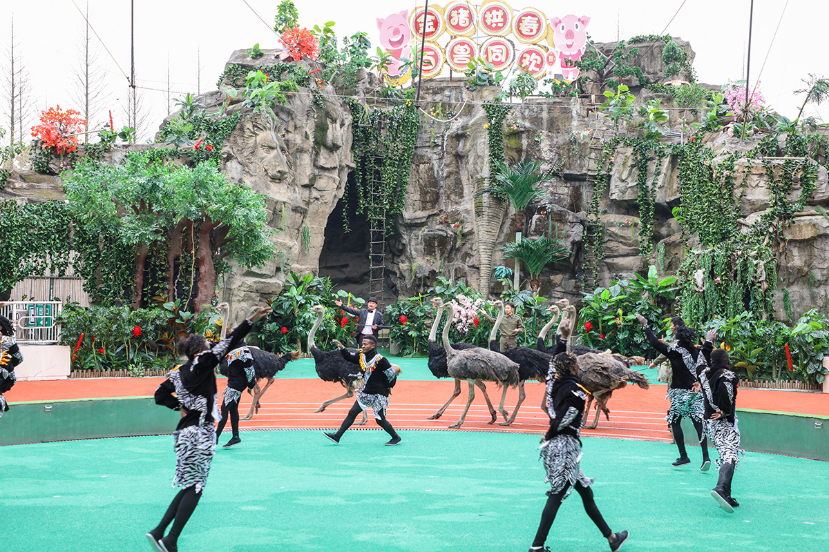 上海野生动物园 上海野生动物园