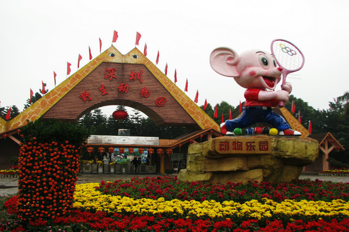 深圳野生动物园 深圳野生动物园