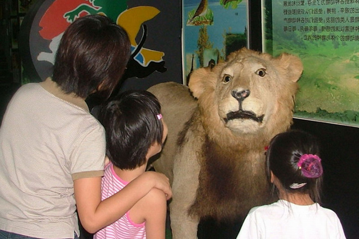 深圳野生动物园 深圳野生动物园